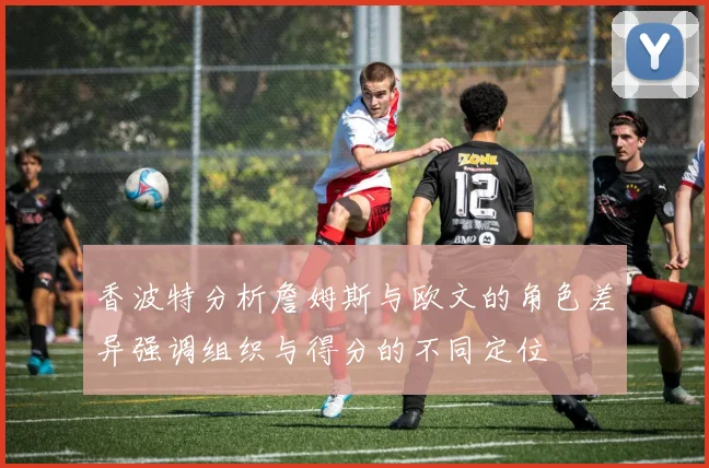 香波特分析詹姆斯与欧文的角色差异强调组织与得分的不同定位